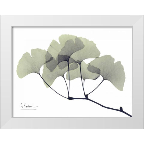 Gingko Leaves in Green White Modern Wood Framed Art Print by Koetsier, Albert