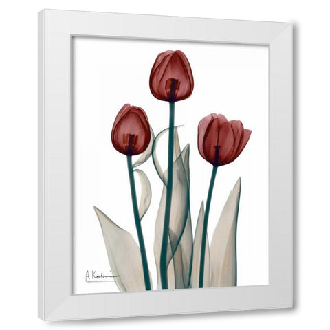 Early Tulips in Red White Modern Wood Framed Art Print by Koetsier, Albert