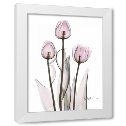 Early Tulips in Lavender White Modern Wood Framed Art Print by Koetsier, Albert