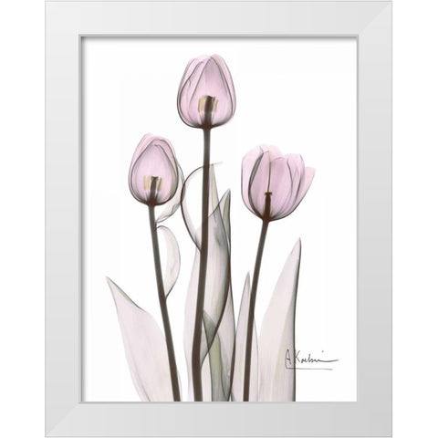 Early Tulips in Lavender White Modern Wood Framed Art Print by Koetsier, Albert