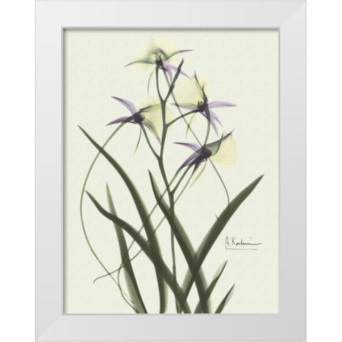 Orchids a Plenty in Purple on Beige White Modern Wood Framed Art Print by Koetsier, Albert