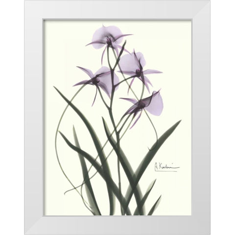 Orchids a Plenty in Purple White Modern Wood Framed Art Print by Koetsier, Albert