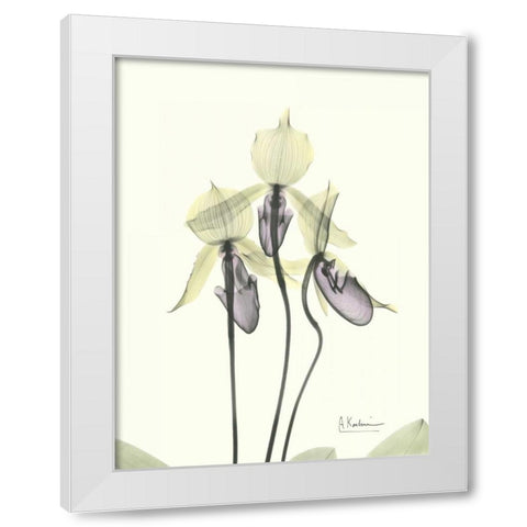 Lovely Orchids White Modern Wood Framed Art Print by Koetsier, Albert