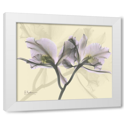 Beautiful Orchid in Purple on Beige White Modern Wood Framed Art Print by Koetsier, Albert