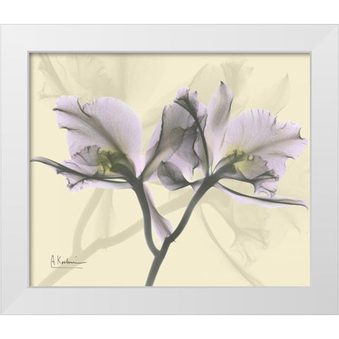 Beautiful Orchid in Purple on Beige White Modern Wood Framed Art Print by Koetsier, Albert