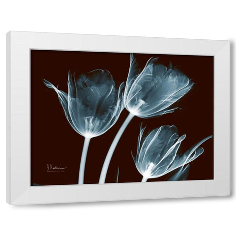 Tulips Blue on Red White Modern Wood Framed Art Print by Koetsier, Albert