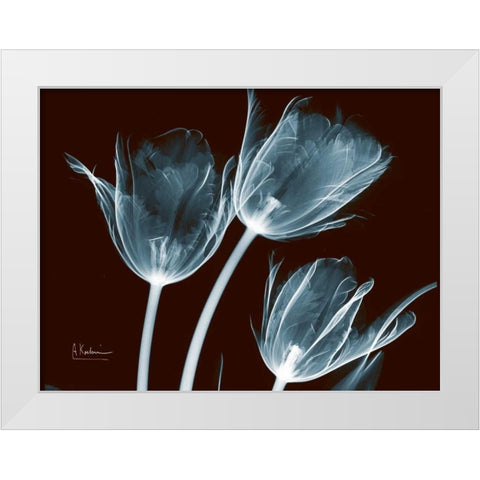 Tulips Blue on Red White Modern Wood Framed Art Print by Koetsier, Albert