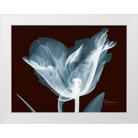 Single Tulip Blue on Red White Modern Wood Framed Art Print by Koetsier, Albert