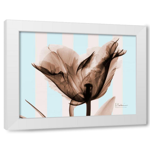 Single Tulip Brown on Blue White Modern Wood Framed Art Print by Koetsier, Albert