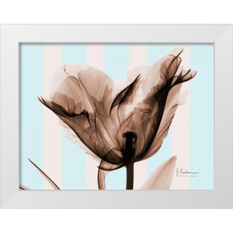 Single Tulip Brown on Blue White Modern Wood Framed Art Print by Koetsier, Albert