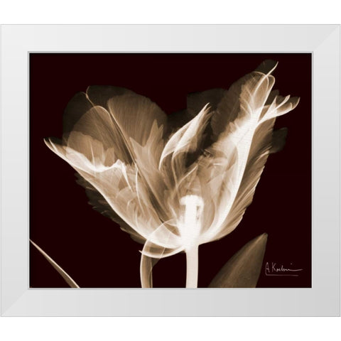 Single Tulip Brown on Red White Modern Wood Framed Art Print by Koetsier, Albert