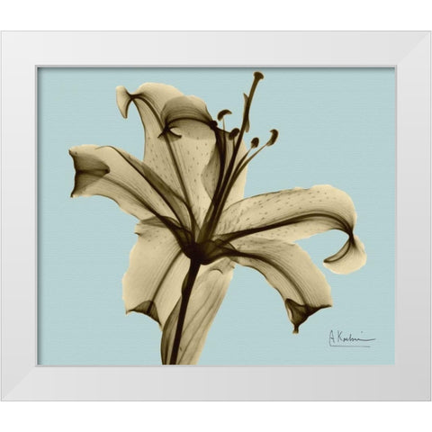 Single Lily Brown on Blue White Modern Wood Framed Art Print by Koetsier, Albert