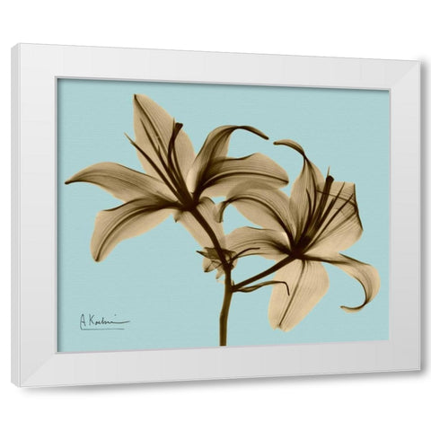 Double Lilies Brown on Blue White Modern Wood Framed Art Print by Koetsier, Albert