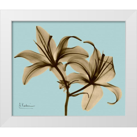 Double Lilies Brown on Blue White Modern Wood Framed Art Print by Koetsier, Albert