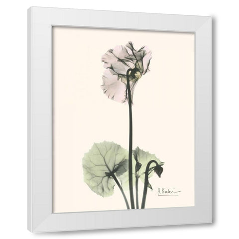 Single Cyclamen White Modern Wood Framed Art Print by Koetsier, Albert