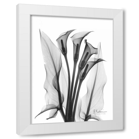 Calla Lily Quad in BandW White Modern Wood Framed Art Print by Koetsier, Albert