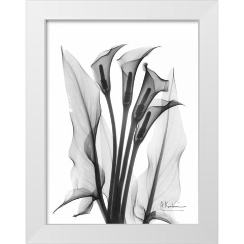 Calla Lily Quad in BandW White Modern Wood Framed Art Print by Koetsier, Albert