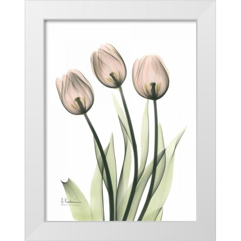 Three Pale Pink Tulips White Modern Wood Framed Art Print by Koetsier, Albert