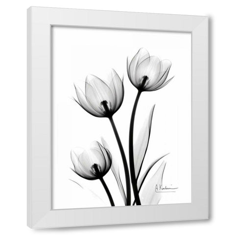 Tulips High Contrast White Modern Wood Framed Art Print by Koetsier, Albert