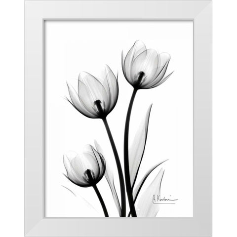 Tulips High Contrast White Modern Wood Framed Art Print by Koetsier, Albert
