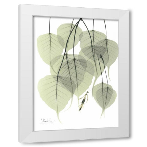 Bo Tree_L264 White Modern Wood Framed Art Print by Koetsier, Albert