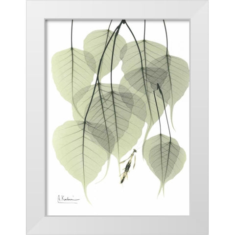 Bo Tree_L264 White Modern Wood Framed Art Print by Koetsier, Albert