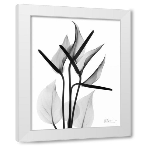 Flamingo Cq White Modern Wood Framed Art Print by Koetsier, Albert