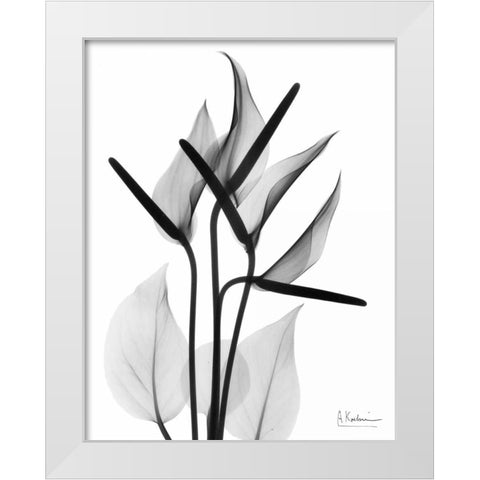 Flamingo Cq White Modern Wood Framed Art Print by Koetsier, Albert
