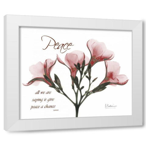 Oleander - Peace White Modern Wood Framed Art Print by Koetsier, Albert