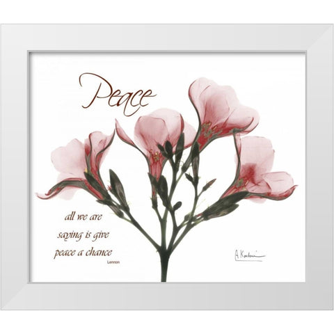 Oleander - Peace White Modern Wood Framed Art Print by Koetsier, Albert