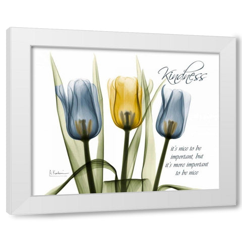 Tulip - Kindness White Modern Wood Framed Art Print by Koetsier, Albert