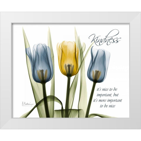 Tulip - Kindness White Modern Wood Framed Art Print by Koetsier, Albert