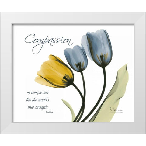 Tulip - Compassion White Modern Wood Framed Art Print by Koetsier, Albert