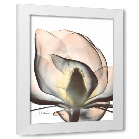 Magnolia Close Up White Modern Wood Framed Art Print by Koetsier, Albert