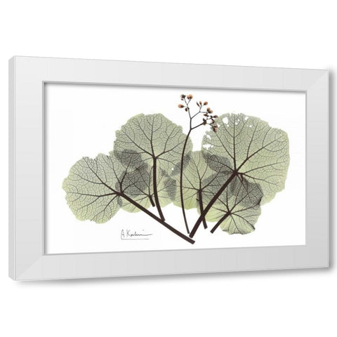 Begonia in Green White Modern Wood Framed Art Print by Koetsier, Albert