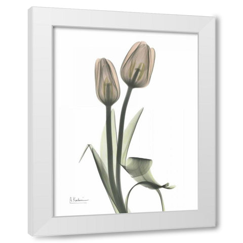 Tulip - Marjorie White Modern Wood Framed Art Print by Koetsier, Albert