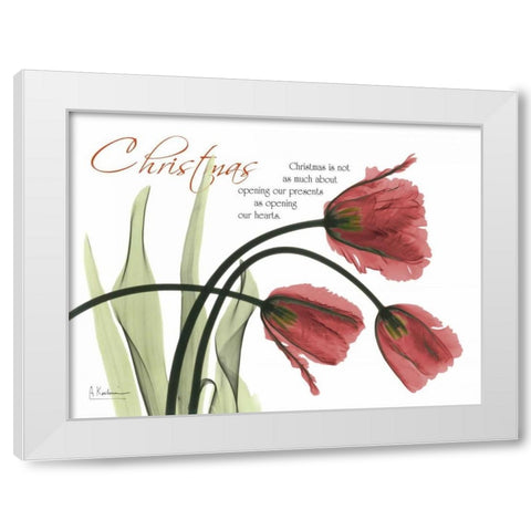 Christmas Tulips White Modern Wood Framed Art Print by Koetsier, Albert