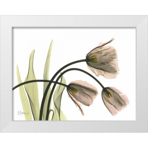 Tulips in the Wild White Modern Wood Framed Art Print by Koetsier, Albert