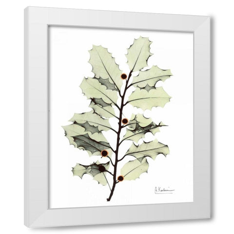 Holly in Green White Modern Wood Framed Art Print by Koetsier, Albert