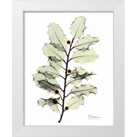 Holly in Green White Modern Wood Framed Art Print by Koetsier, Albert