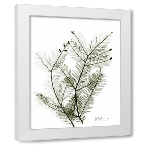 Evergreen in Green White Modern Wood Framed Art Print by Koetsier, Albert