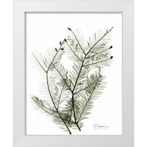 Evergreen in Green White Modern Wood Framed Art Print by Koetsier, Albert