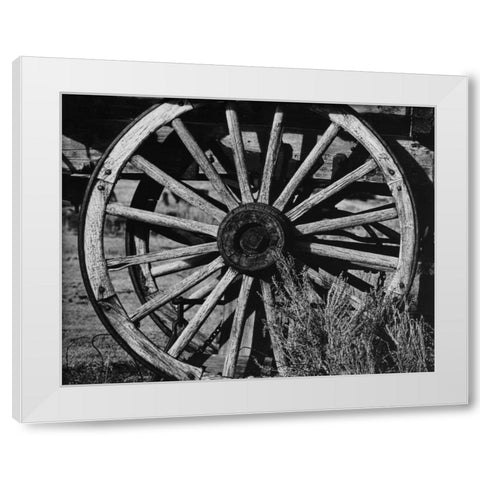 Bodi Wheel White Modern Wood Framed Art Print by Koetsier, Albert