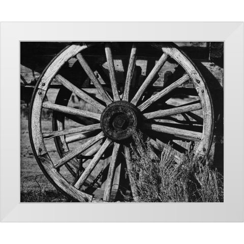 Bodi Wheel White Modern Wood Framed Art Print by Koetsier, Albert