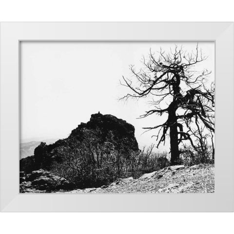 Bodi Kid Lookout White Modern Wood Framed Art Print by Koetsier, Albert