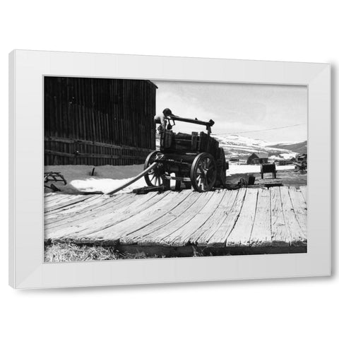 The Bodi Kid White Modern Wood Framed Art Print by Koetsier, Albert