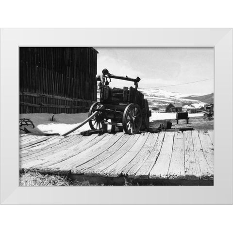 The Bodi Kid White Modern Wood Framed Art Print by Koetsier, Albert