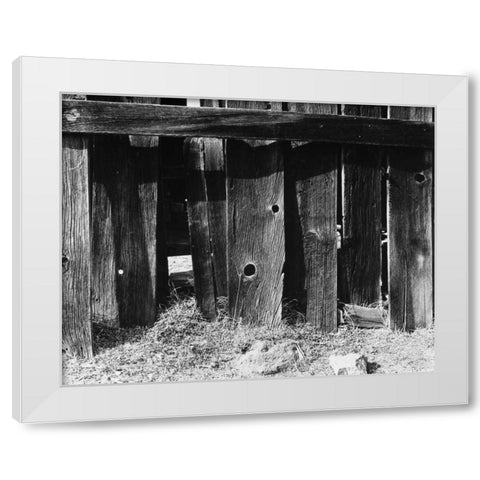 Bodi Fence White Modern Wood Framed Art Print by Koetsier, Albert