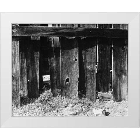 Bodi Fence White Modern Wood Framed Art Print by Koetsier, Albert