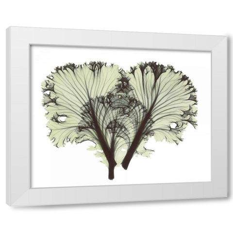 Kale in Green White Modern Wood Framed Art Print by Koetsier, Albert